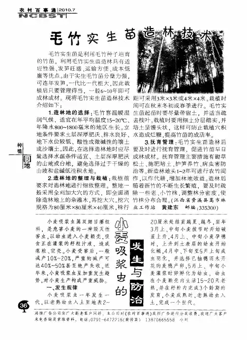 毛竹实生苗造林技术