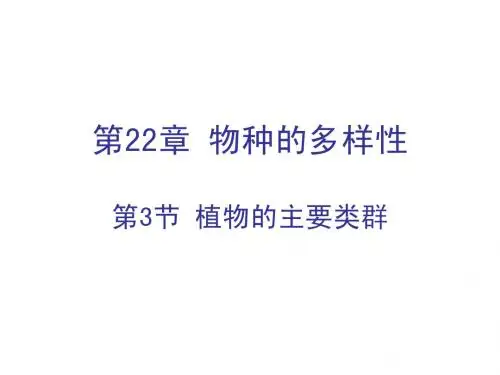 植物的主要类群