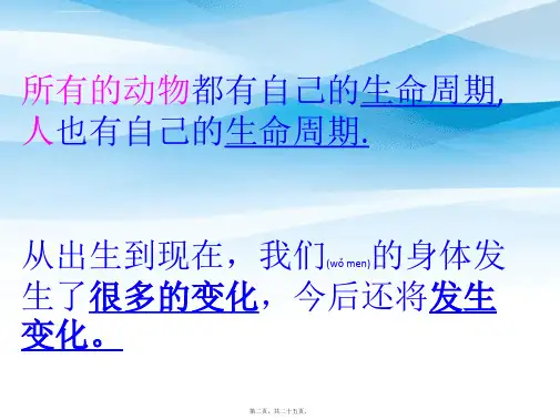202X年我们的生命周期ppt