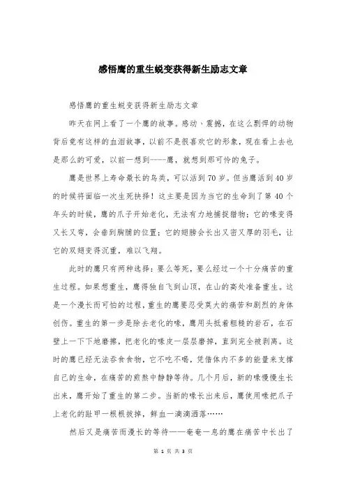 感悟鹰的重生蜕变获得新生励志文章