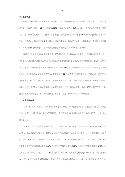 咸阳经济发展现状分析