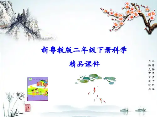 广东粤教科技版二年级下册科学全册课件(1-11课)