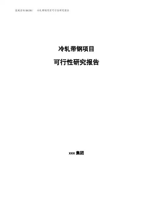 冷轧带钢项目可行性研究报告模板
