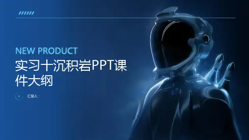 《实习十沉积岩》课件