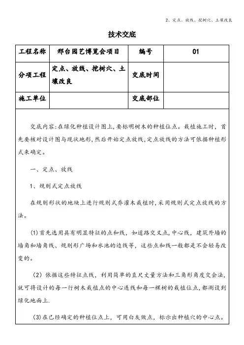 2、定点、放线、挖树穴、土壤改良