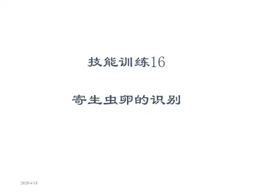 寄生虫卵的识别