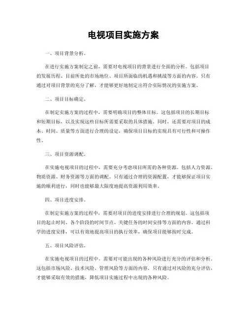 电视项目实施方案