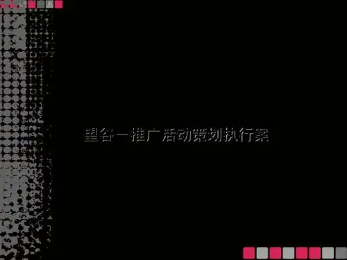 某项目推广活动策划执行案PPT(共 57张)