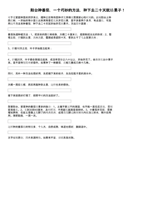 阳台种番茄，一个巧妙的方法，种下去二十天就结果子！
