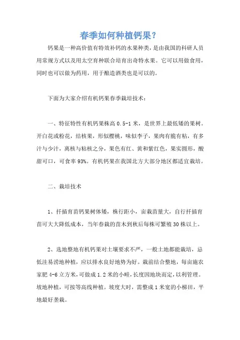 春季如何种植钙果？