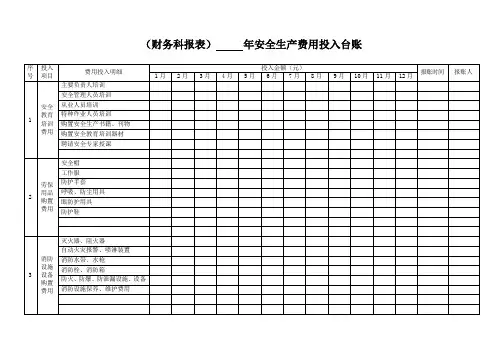 安全生产费用投入台账(模版报表)