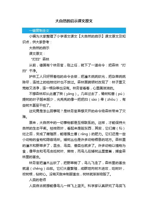 大自然的启示课文原文