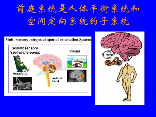 前庭系统解剖生理PPT学习课件