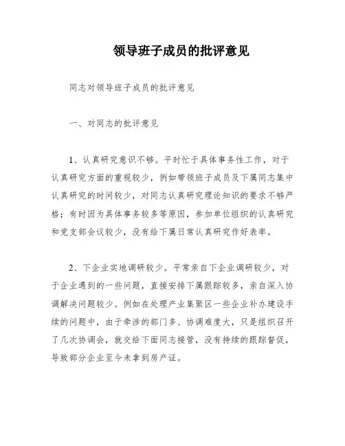 领导班子成员的批评意见