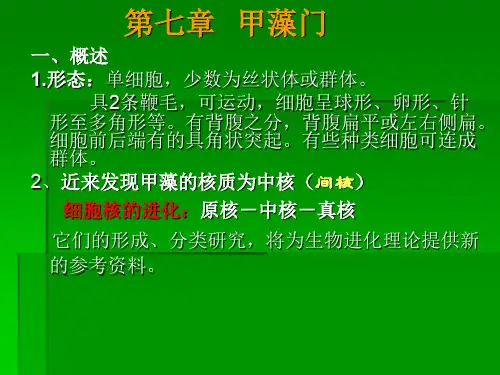 7.甲、裸藻门07