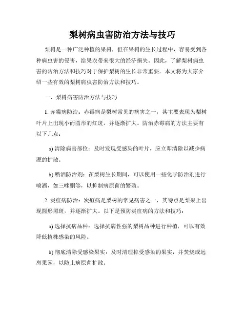 梨树病虫害防治方法与技巧