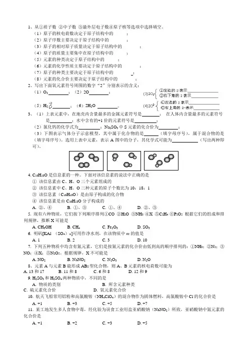 化学化学式与化合价专题训练