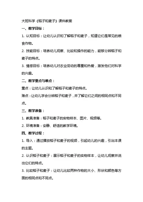 大班科学《稻子和麦子》课件教案