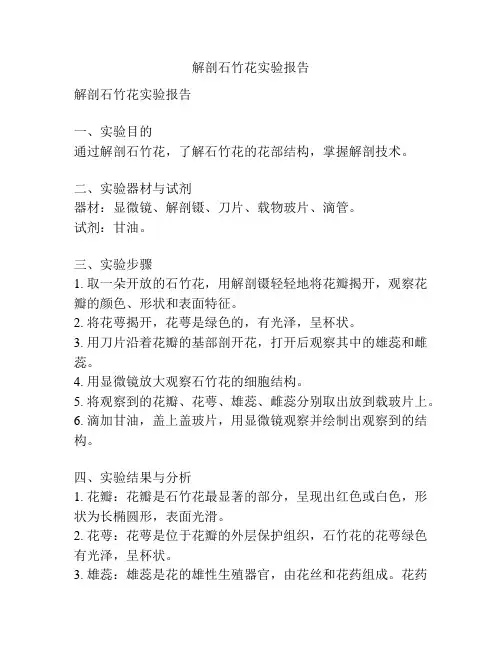 解剖石竹花实验报告