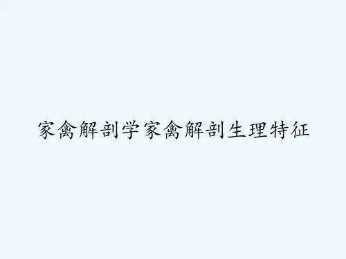 家禽解剖学家禽解剖生理特征