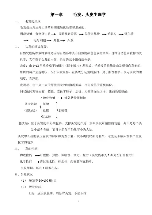 基础美发知识