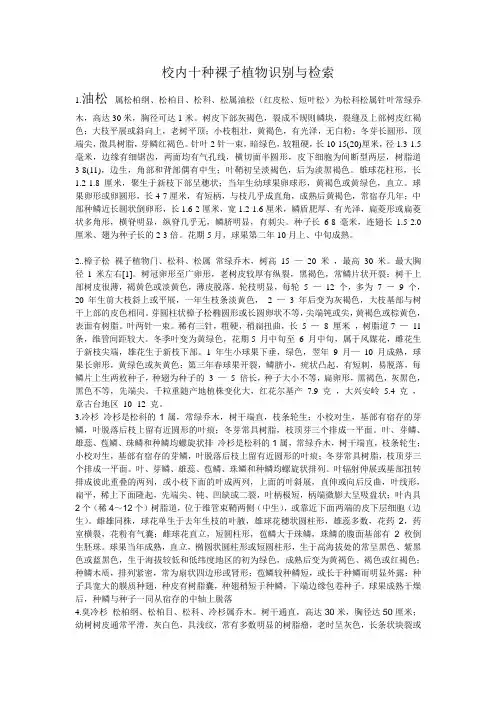 校内十种裸子植物识别与检索