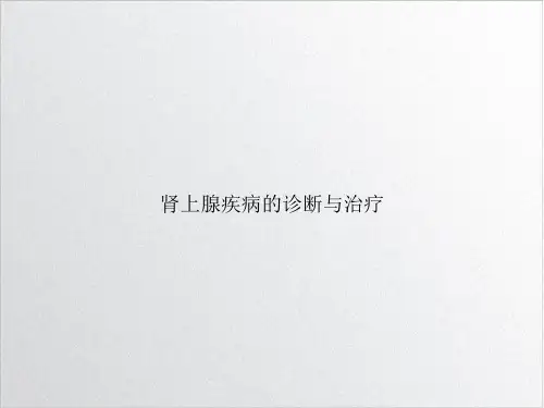 肾上腺疾病的诊断与治疗ppt课件