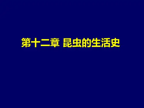 昆虫的生活史
