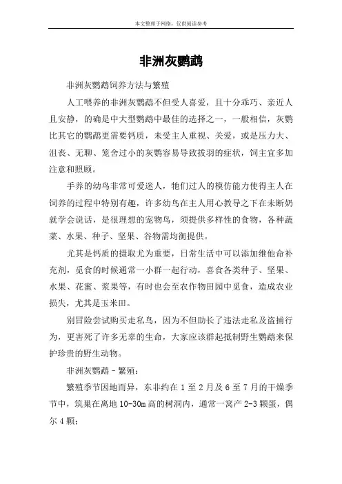 非洲灰鹦鹉