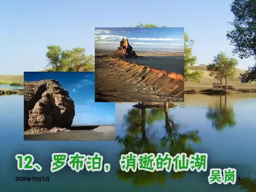 12罗布泊_消逝的仙湖3PPT课件