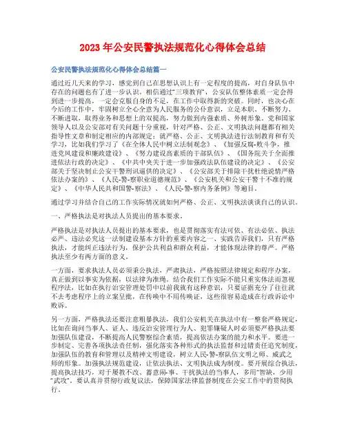 2023年公安民警执法规范化心得体会总结