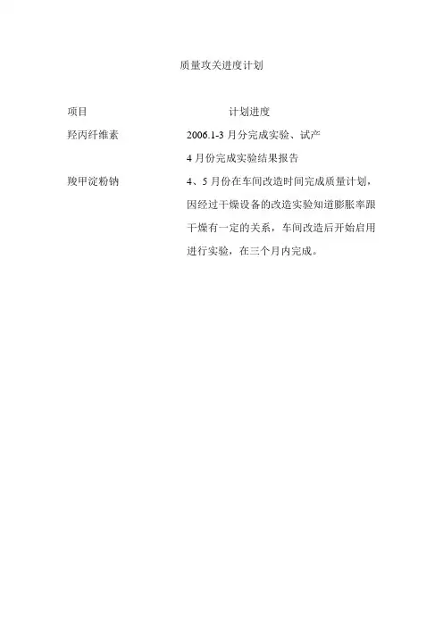 质量攻关进度计划