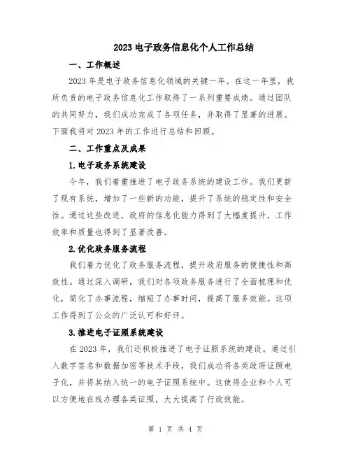 2023电子政务信息化个人工作总结