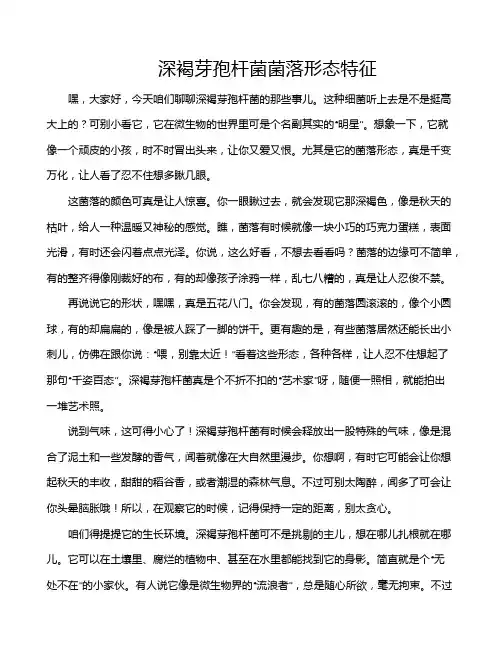 深褐芽孢杆菌菌落形态特征