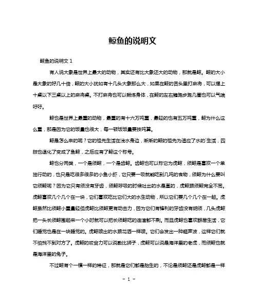 鲸鱼的说明文