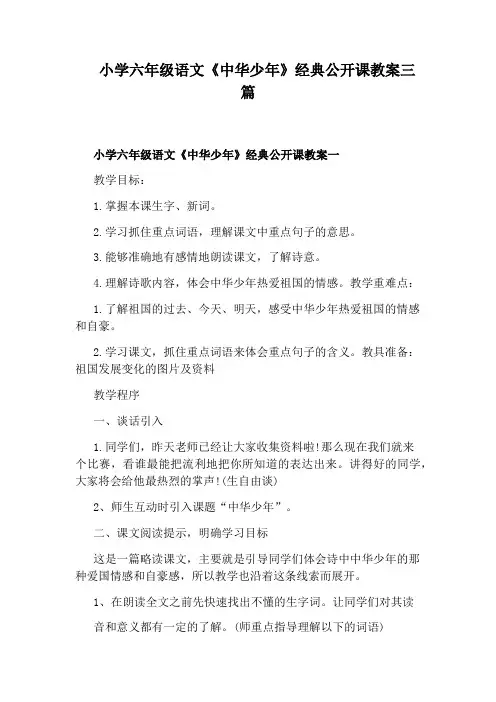 小学六年级语文《中华少年》经典公开课教案三篇