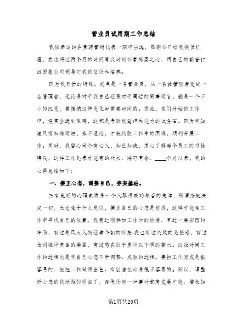 营业员试用期工作总结(8篇)