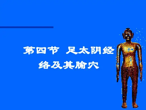 第四节足太阴脾经