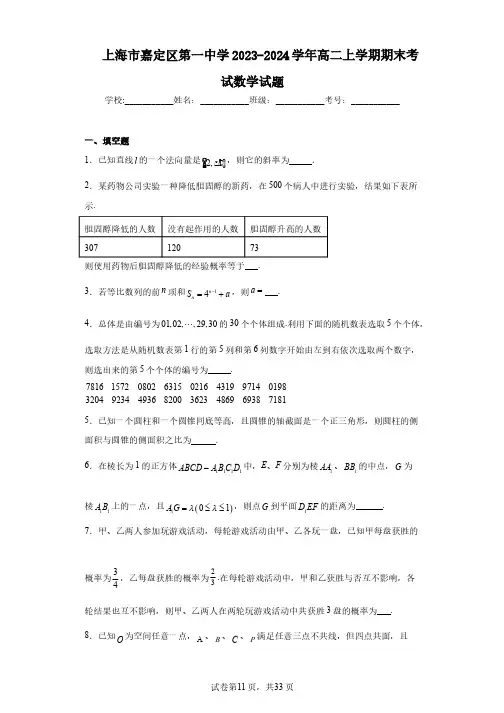 上海市嘉定区第一中学2023-2024学年高二上学期期末考试数学试题