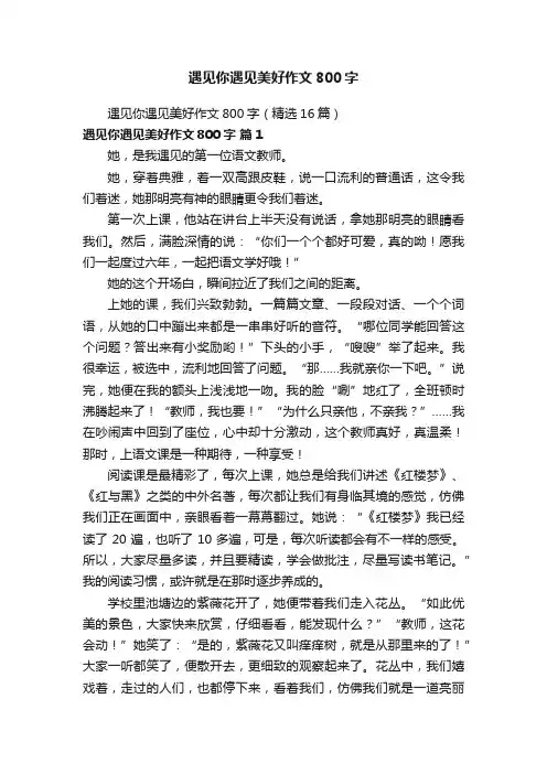 遇见你遇见美好作文800字（精选16篇）