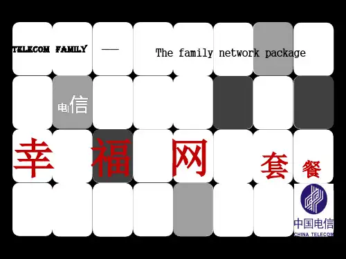 《电信营销方案》PPT课件