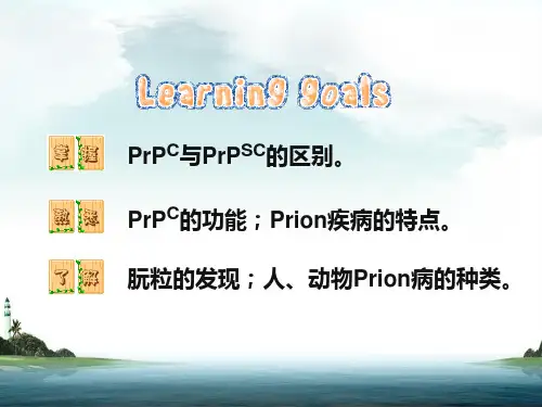 朊粒-精品医学课件