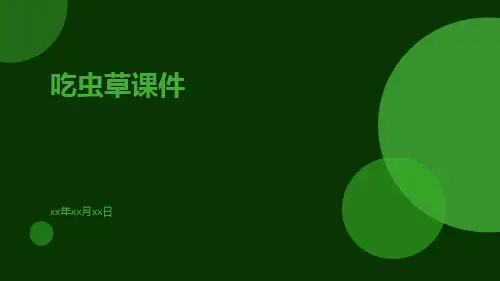 吃虫草课件