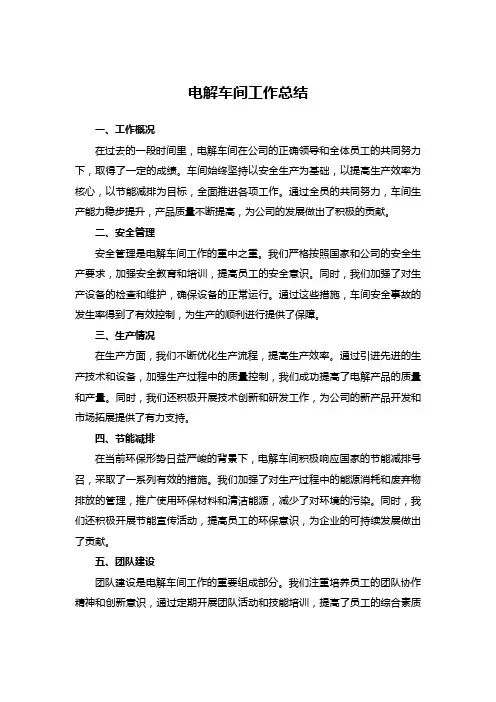 电解车间工作总结 (3)