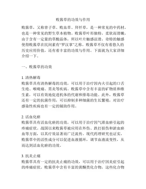 败酱草的功效与作用