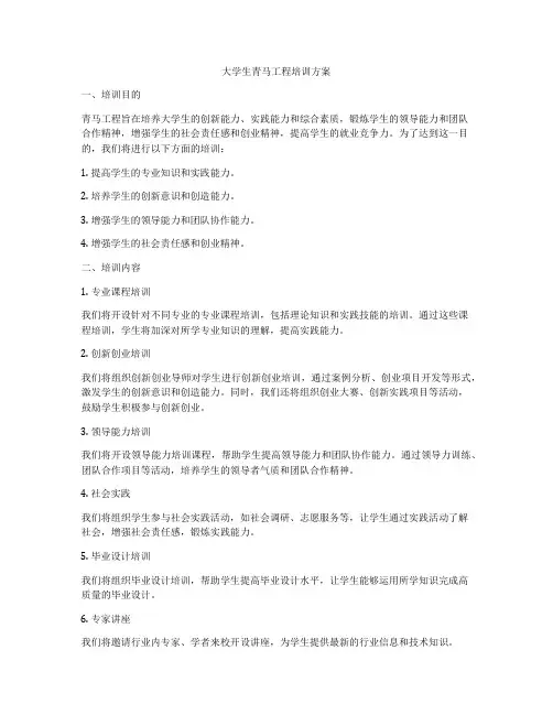 大学生青马工程培训方案