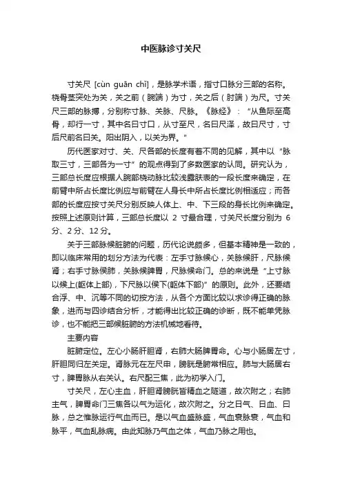 中医脉诊寸关尺