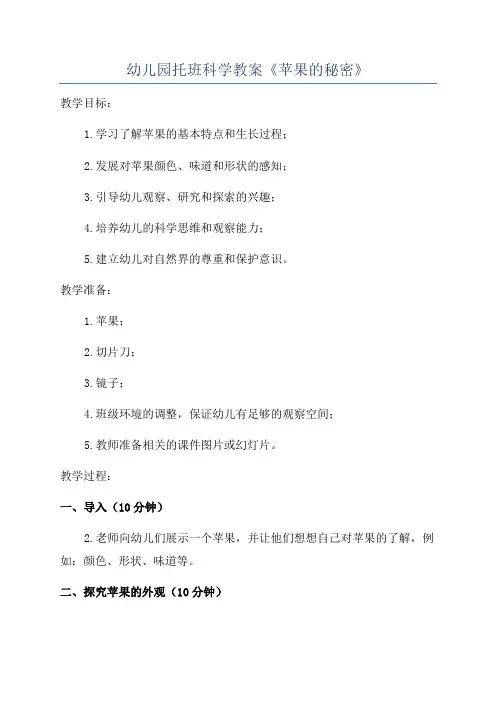 幼儿园托班科学教案《苹果的秘密》