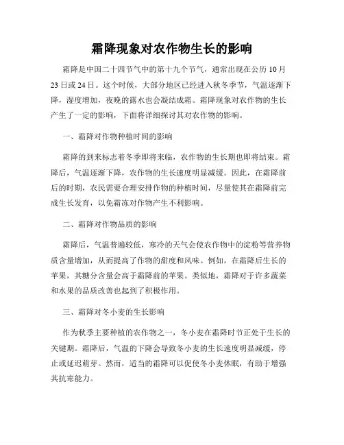 霜降现象对农作物生长的影响