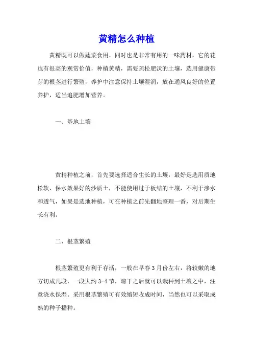 黄精怎么种植